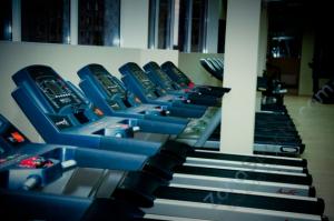 Беговая дорожка Aerofit 8600TM 7LCD