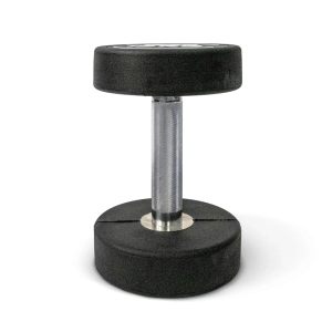 Гантельный ряд полиуретановый Protrain BDPU 2.5-25 кг