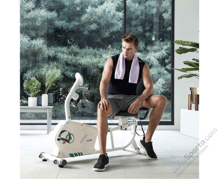 Горизонтальный велотренажер DFC Lexpa