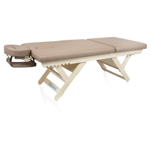 Массажный стол стационарный Mizomed Boast-Tilt SBT1S30