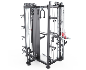 Мультистанция, машина Смита DFC Gorilla Sport 822